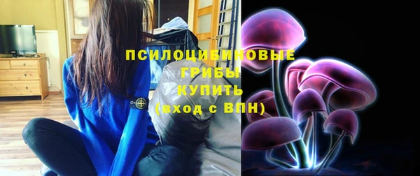 круглые Иннополис