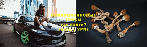 круглые Иннополис